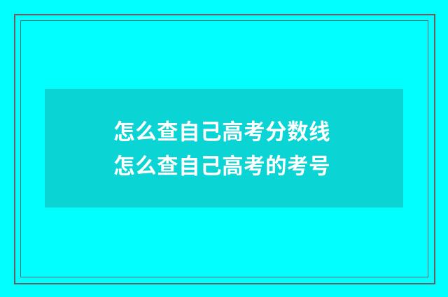 怎么查自己高考分数线 怎么查自己高考的考号