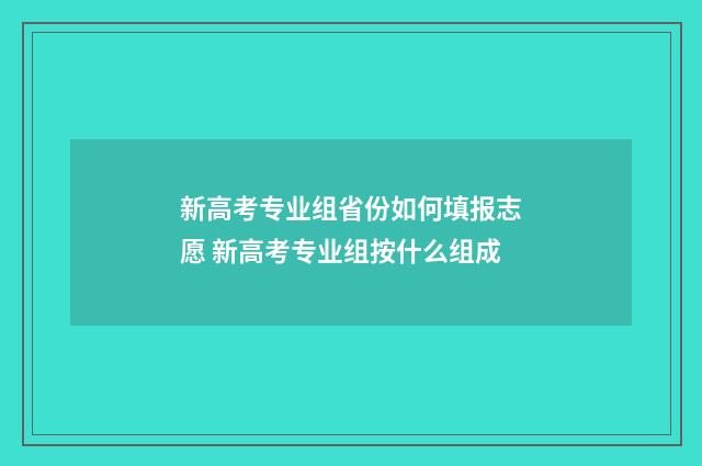 新高考专业组省份如何填报志愿 新高考专业组按什么组成