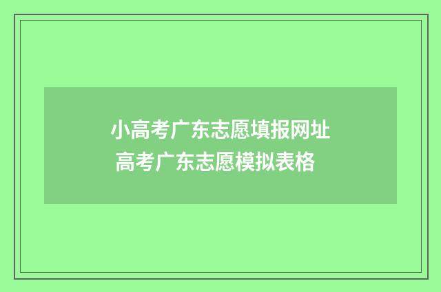 小高考广东志愿填报网址 高考广东志愿模拟表格
