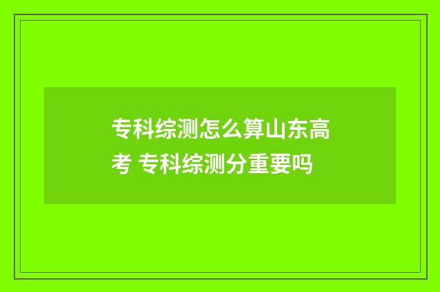 专科综测怎么算山东高考 专科综测分重要吗