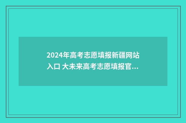 2024年高考志愿填报新疆网站入口 大未来高考志愿填报官网