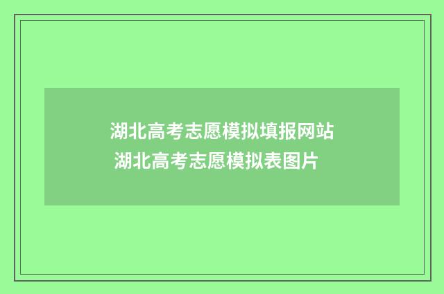 湖北高考志愿模拟填报网站 湖北高考志愿模拟表图片