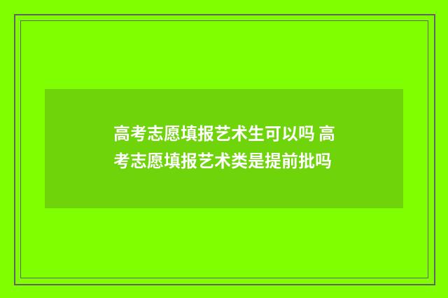 高考志愿填报艺术生可以吗 高考志愿填报艺术类是提前批吗