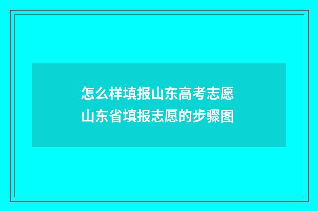 怎么样填报山东高考志愿 山东省填报志愿的步骤图