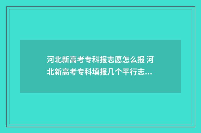 河北新高考专科报志愿怎么报 河北新高考专科填报几个平行志愿