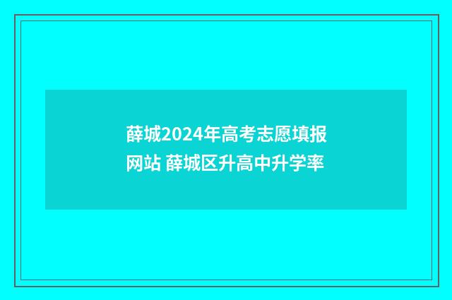 薛城2024年高考志愿填报网站 薛城区升高中升学率