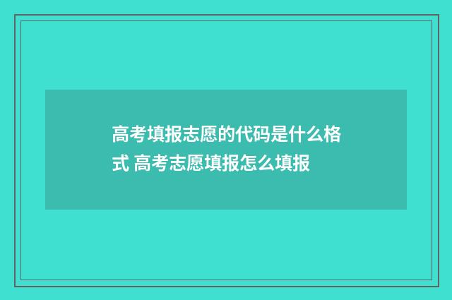 高考填报志愿的代码是什么格式 高考志愿填报怎么填报