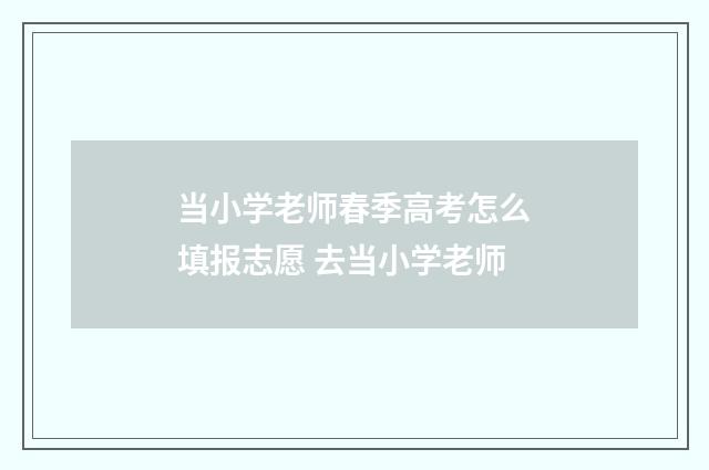 当小学老师春季高考怎么填报志愿 去当小学老师