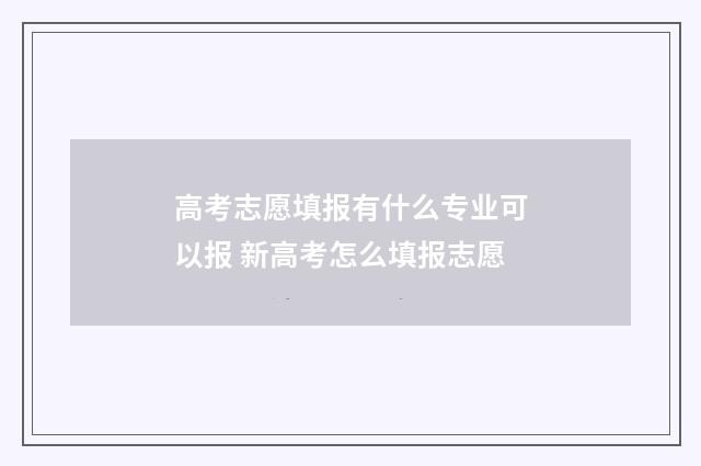 高考志愿填报有什么专业可以报 新高考怎么填报志愿