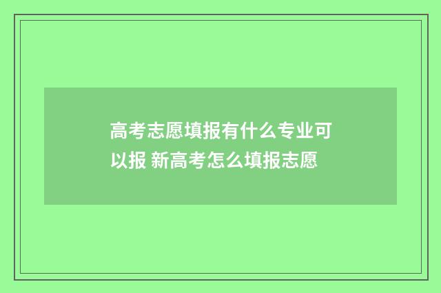 高考志愿填报有什么专业可以报 新高考怎么填报志愿