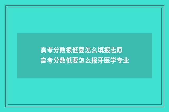 高考分数很低要怎么填报志愿 高考分数低要怎么报牙医学专业
