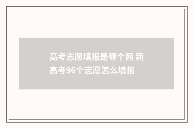 高考志愿填报是哪个网 新高考96个志愿怎么填报