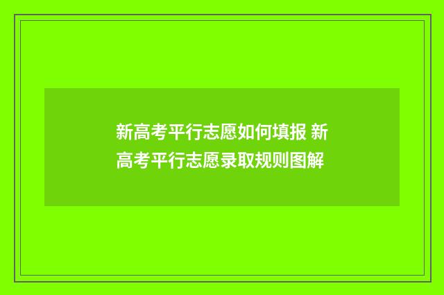 新高考平行志愿如何填报 新高考平行志愿录取规则图解