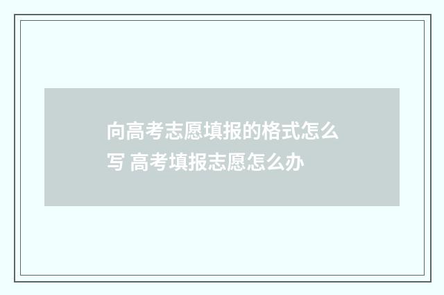向高考志愿填报的格式怎么写 高考填报志愿怎么办