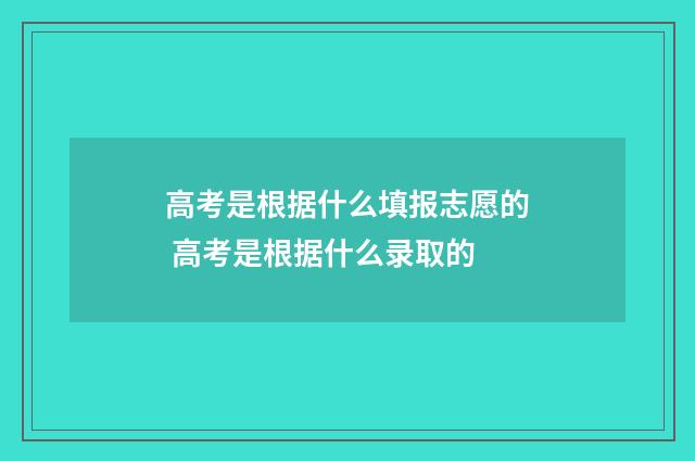 高考是根据什么填报志愿的 高考是根据什么录取的
