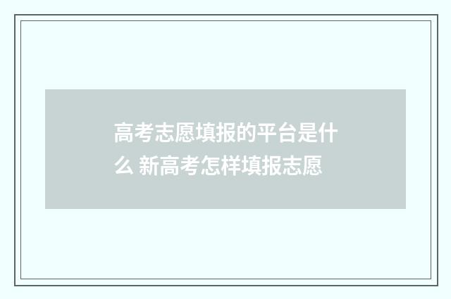 高考志愿填报的平台是什么 新高考怎样填报志愿