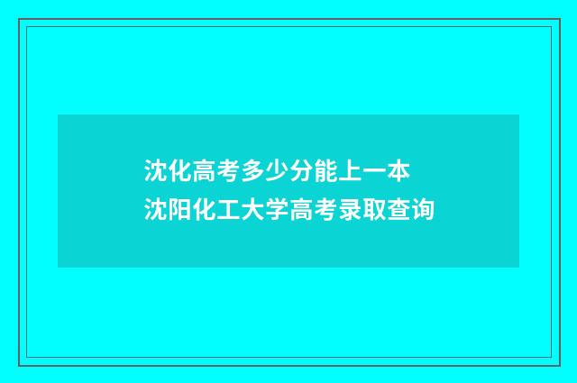 沈化高考多少分能上一本 沈阳化工大学高考录取查询