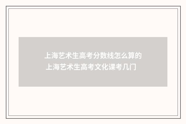 上海艺术生高考分数线怎么算的 上海艺术生高考文化课考几门