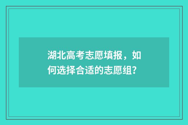 湖北高考志愿填报,如何选择合适的志愿组?