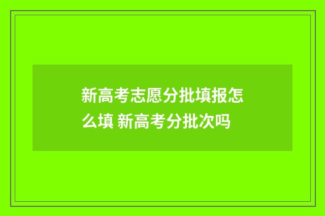新高考志愿分批填报怎么填 新高考分批次吗