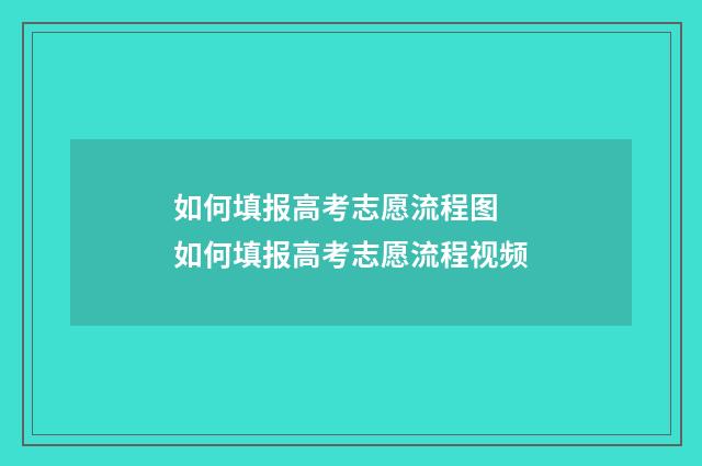 如何填报高考志愿流程图 如何填报高考志愿流程视频