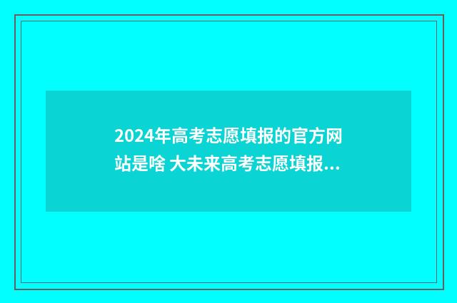 2024年高考志愿填报的官方网站是啥 大未来高考志愿填报官网