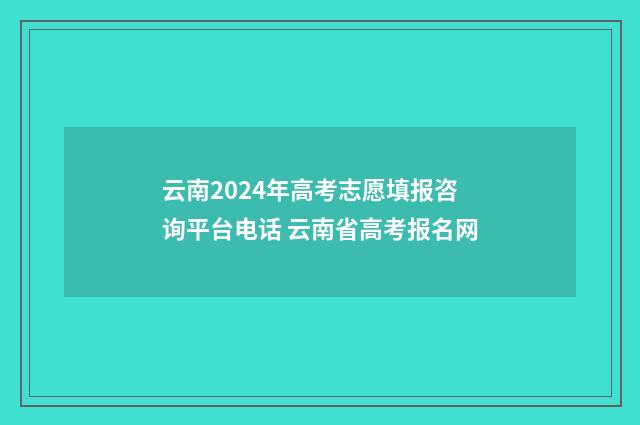 云南2024年高考志愿填报咨询平台电话 云南省高考报名网