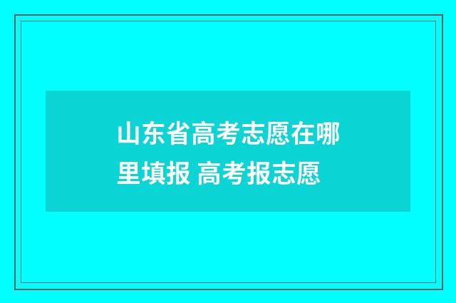 山东省高考志愿在哪里填报 高考报志愿