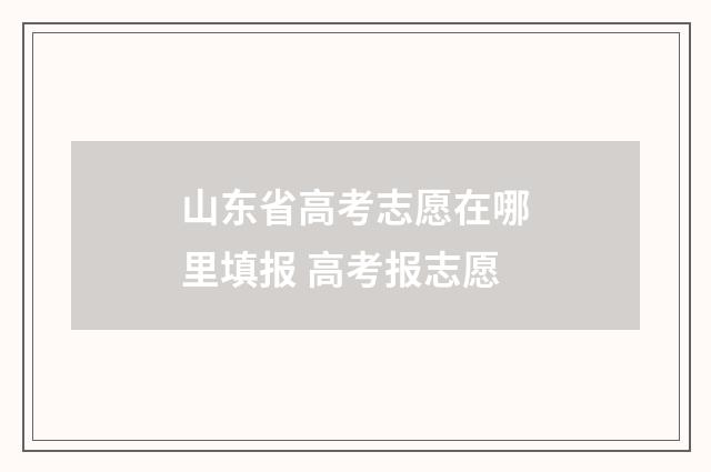 山东省高考志愿在哪里填报 高考报志愿