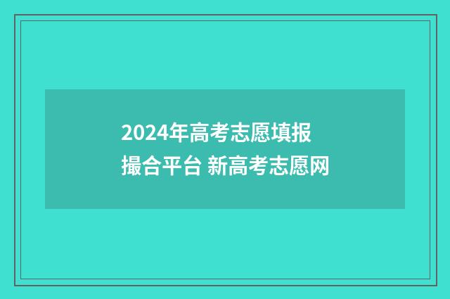 2024年高考志愿填报撮合平台 新高考志愿网