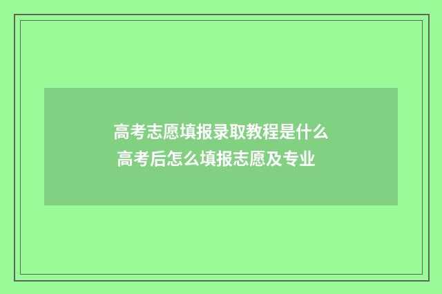 高考志愿填报录取教程是什么 高考后怎么填报志愿及专业