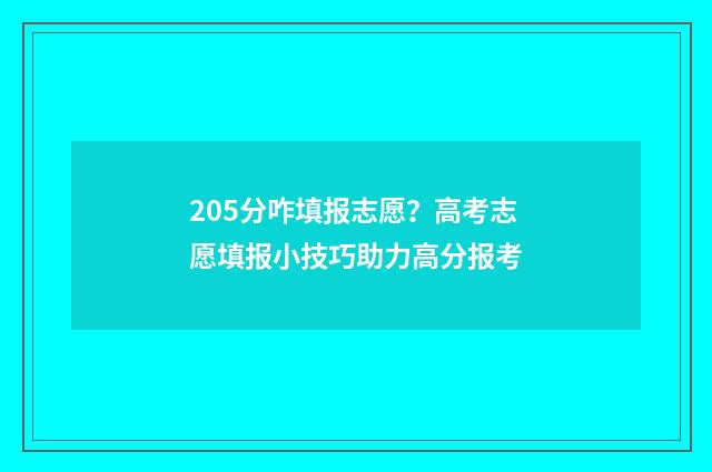 205分咋填报志愿？高考志愿填报小技巧助力高分报考