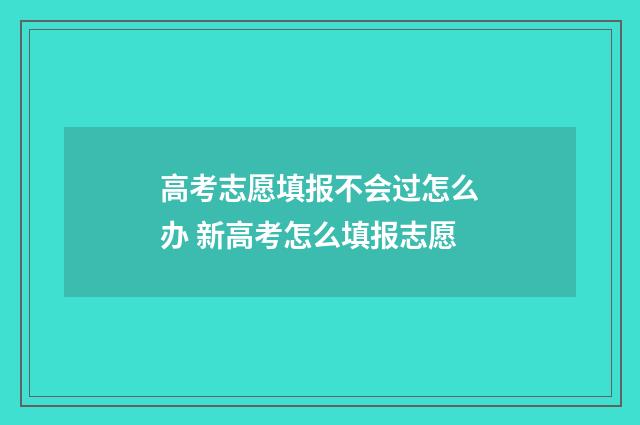 高考志愿填报不会过怎么办 新高考怎么填报志愿