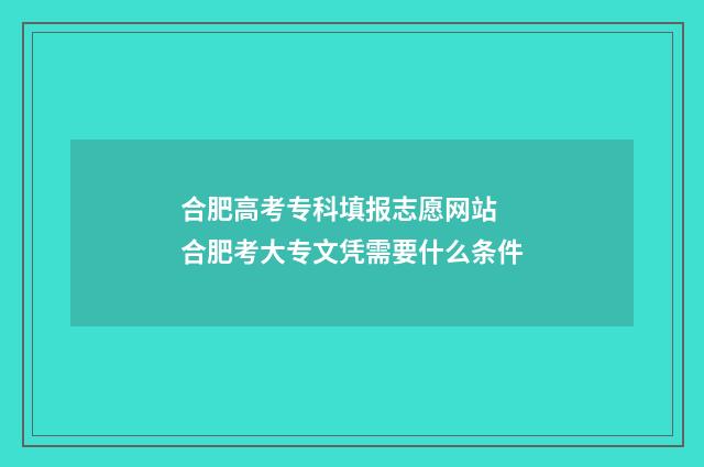 合肥高考专科填报志愿网站 合肥考大专文凭需要什么条件