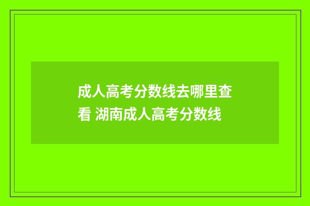 成人高考分数线去哪里查看 湖南成人高考分数线