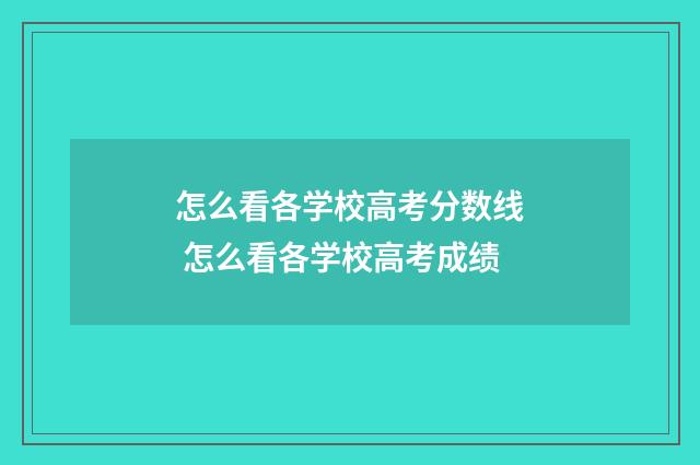 怎么看各学校高考分数线 怎么看各学校高考成绩