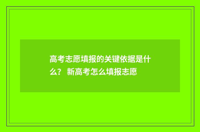 高考志愿填报的关键依据是什么？ 新高考怎么填报志愿