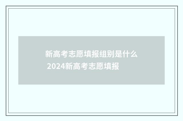 新高考志愿填报组别是什么 2024新高考志愿填报