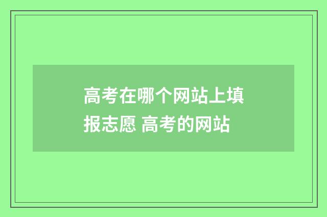 高考在哪个网站上填报志愿 高考的网站