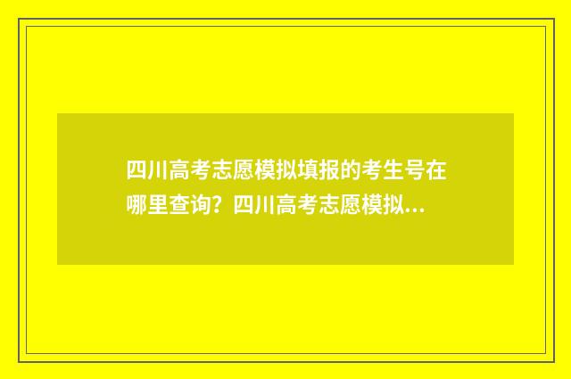 四川高考志愿模拟填报的考生号在哪里查询？四川高考志愿模拟填报入口 四川高考志愿模板