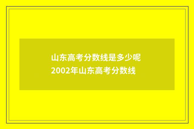山东高考分数线是多少呢 2002年山东高考分数线