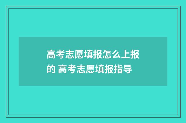 高考志愿填报怎么上报的 高考志愿填报指导
