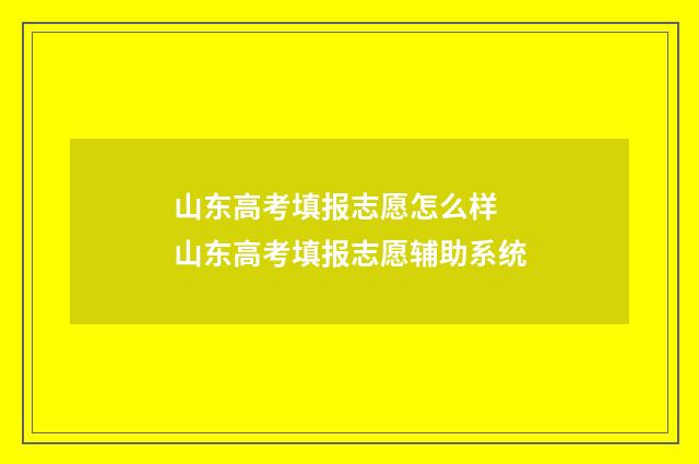 山东高考填报志愿怎么样 山东高考填报志愿辅助系统