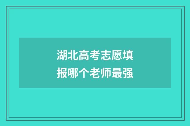 湖北高考志愿填报哪个老师最强