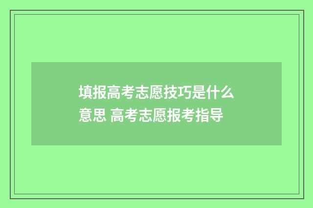 填报高考志愿技巧是什么意思 高考志愿报考指导