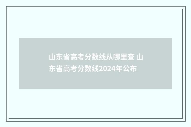 山东省高考分数线从哪里查 山东省高考分数线2024年公布