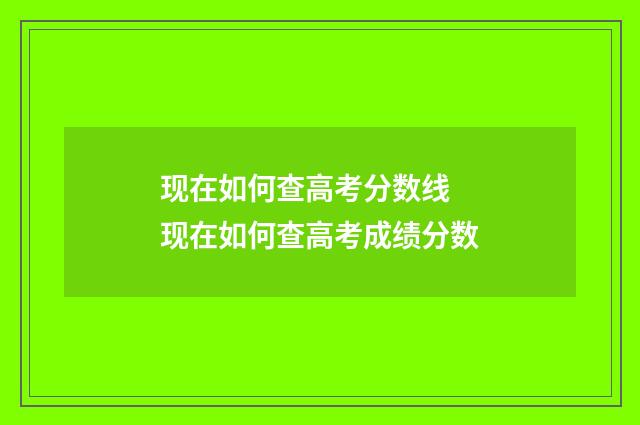 现在如何查高考分数线 现在如何查高考成绩分数