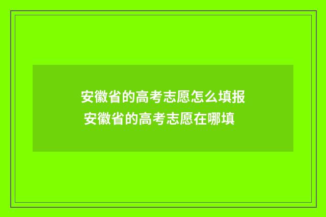 安徽省的高考志愿怎么填报 安徽省的高考志愿在哪填