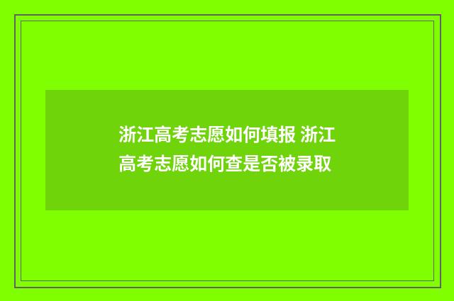 浙江高考志愿如何填报 浙江高考志愿如何查是否被录取
