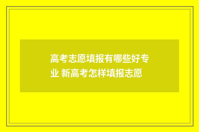 高考志愿填报有哪些好专业 新高考怎样填报志愿